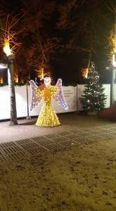 15317979_10211838935955626_8353526090625121717_n